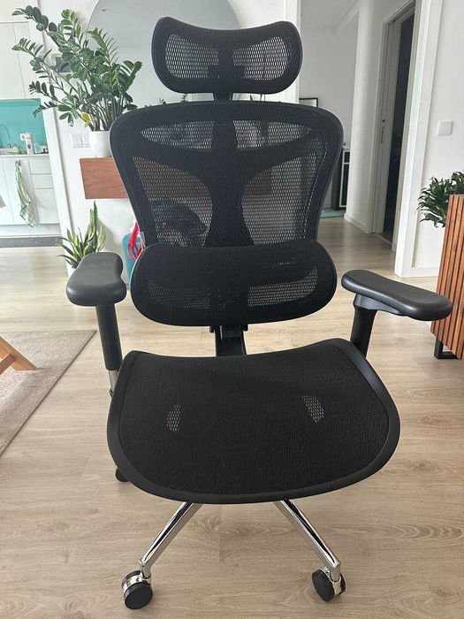 Cadeira de escritório ergonômica Sihoo Doro C300