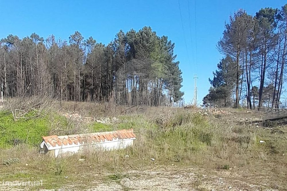 Terreno  para venda — Santa Cruz/trindade E Sanjurge, Vila Real