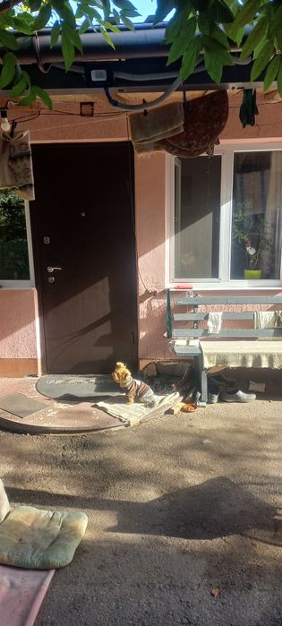 Продам дом в Чугуеве.