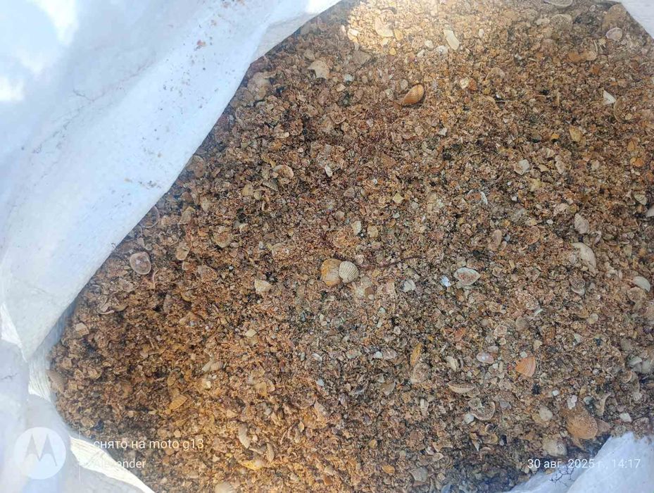 Продам ракушки для птицы