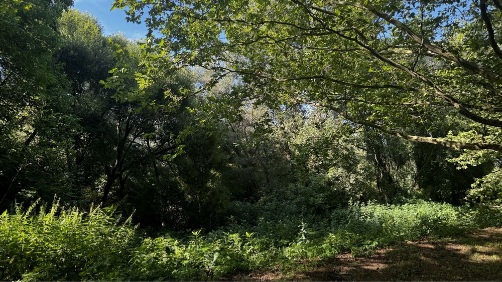 2-rooms apartment apartment by the address st. Radishcheva Oleksandra (area 47 m²) - Atlanta.ua - photo 7