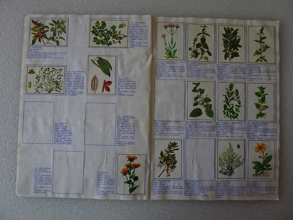 Caderneta de cromos Mundo Botânico - Francisco Más (faltam 54 cromos)