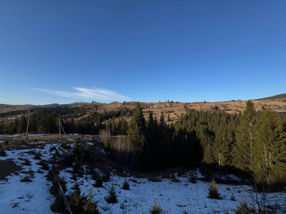 Земельні ділянки в Яблуниці