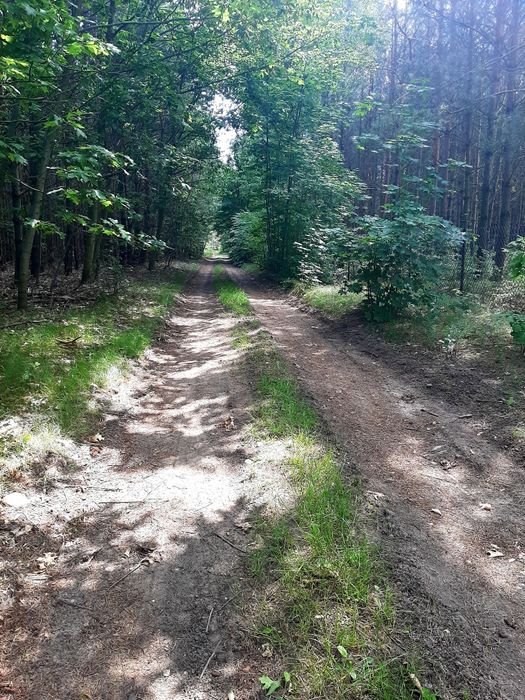 Do wynajęcia dom na urlop/wakacje w spokojnej okolicy