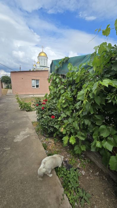 Продаж будинок з ремонтом для родини