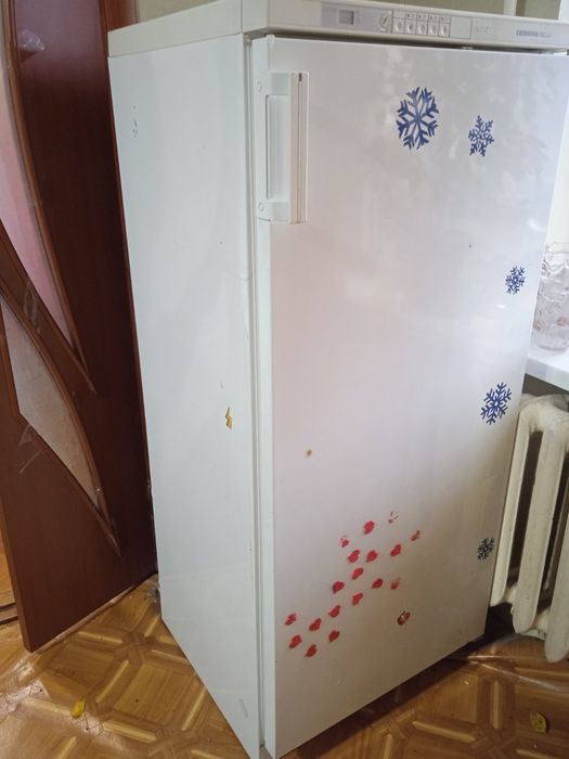 Морозилка Snaige NoFrost