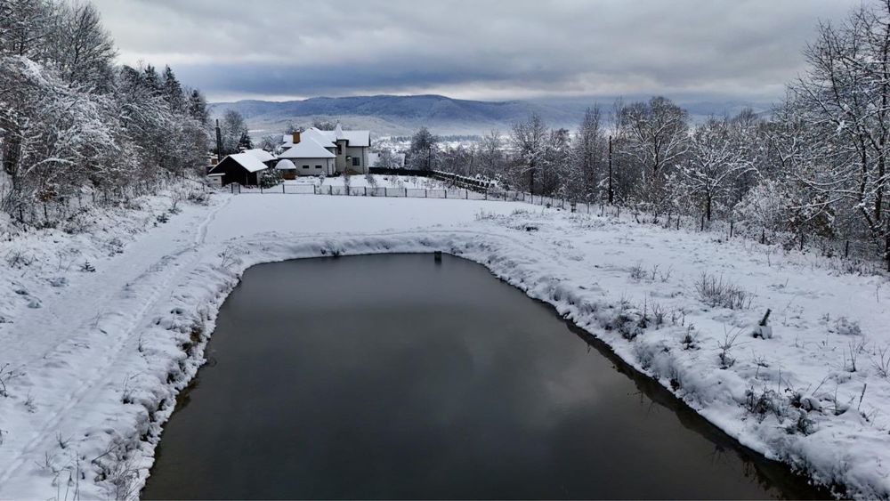 Продаж / Земля / ОСГ / Верхнє Синьовидне/ Львівська область
