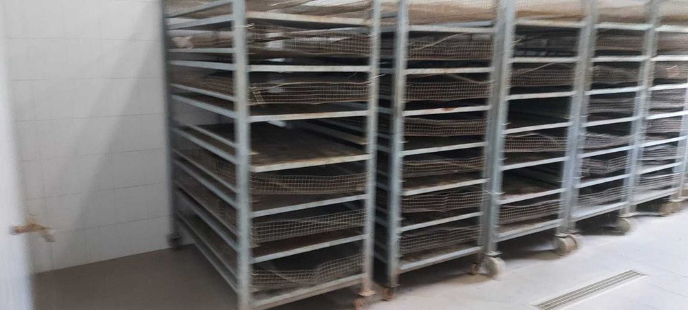 8 Carros de ferro para transporte ou purga de animais