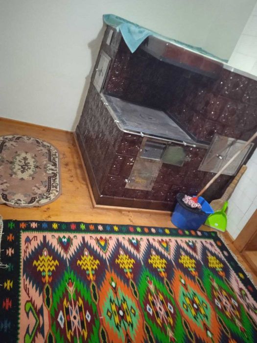 здаються будиночки в Карпатах з краєвидом