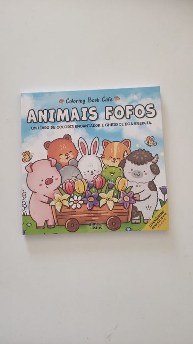 Livros de Colorir