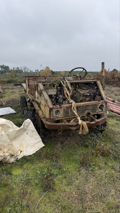 Unimog 411 sem documentos