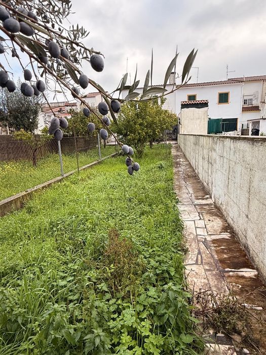 Moradia T2 com 2 WC e Quintal – Assumar (Monforte)