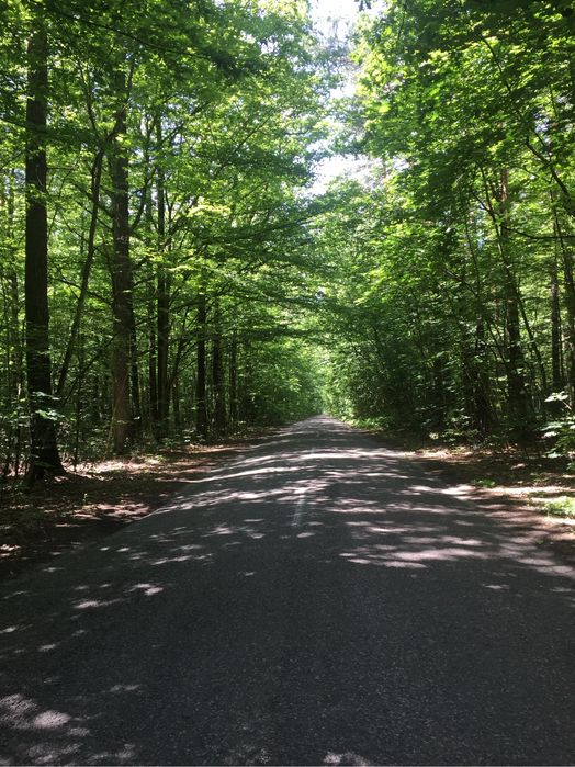 Продаж земельної ділянки 0,25 га біля бази відпочинку