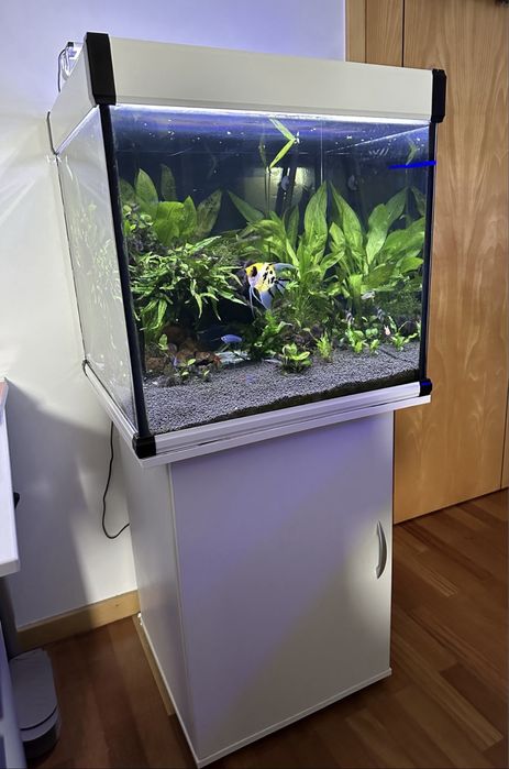 Aquário Cubo 60x60x60cm