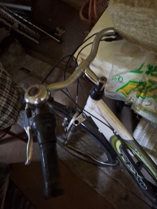 Rower damka 28 cali