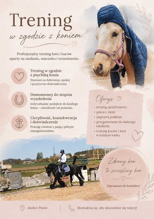 Trening kuców i koni
