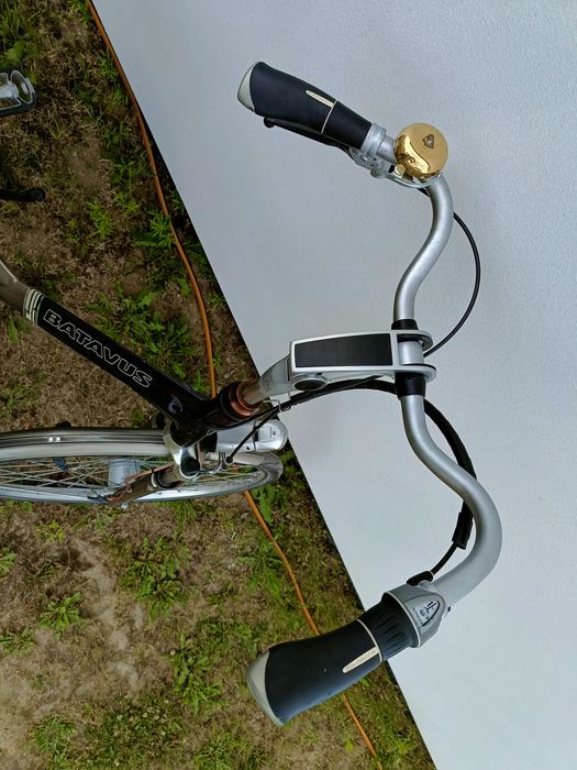 Rower batavus 28