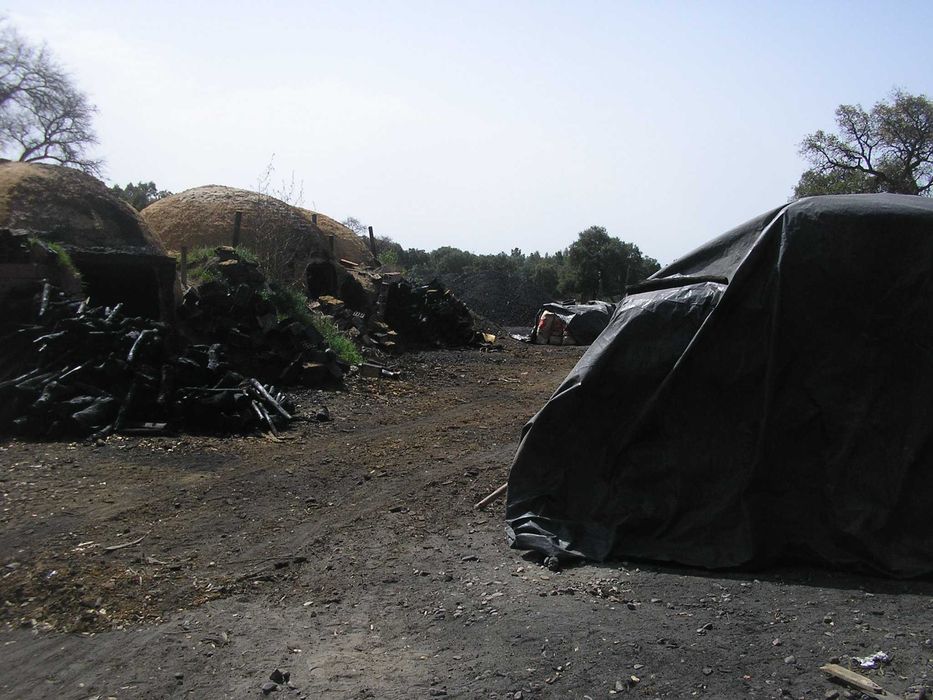 carvao de sobro ao saco