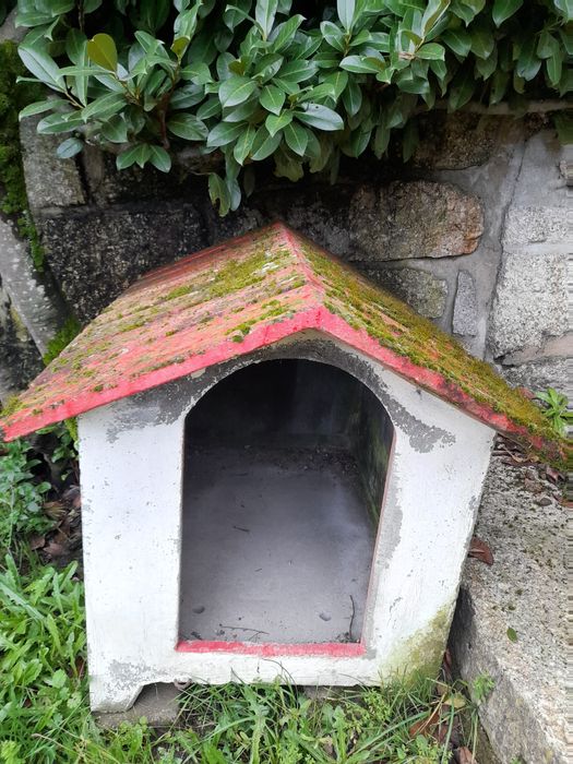 Tenho  para vénda casota de cão  sem uso.
