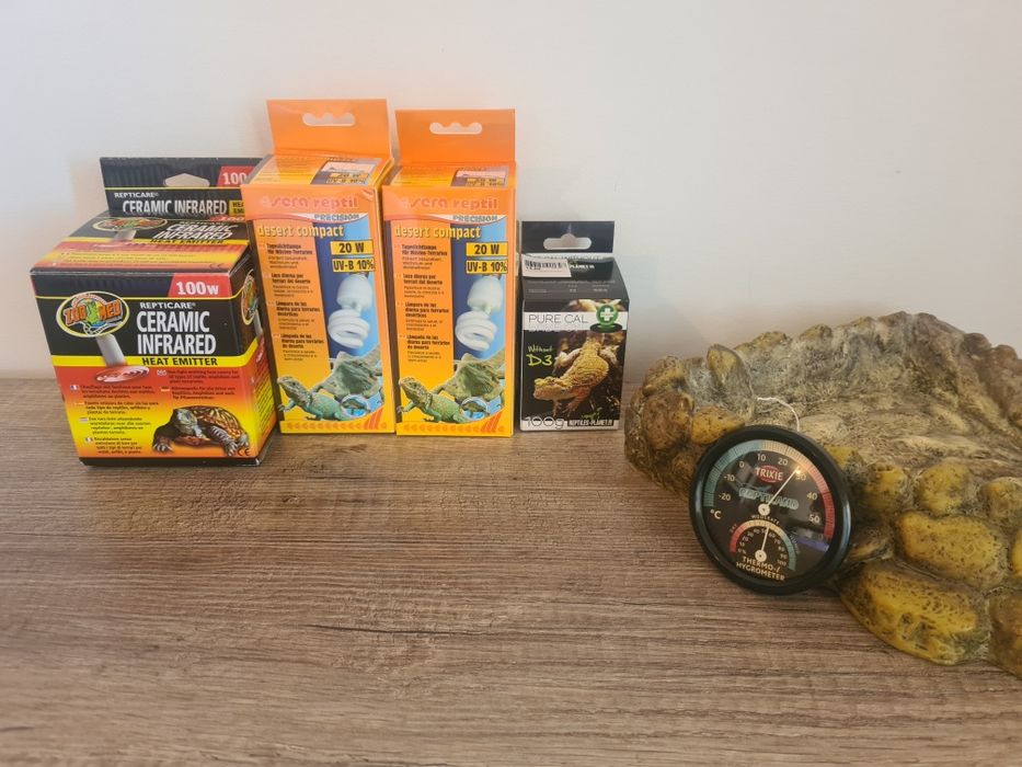 Terrario & Acessórios