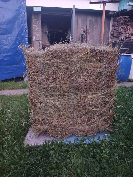 Продам сіно в тюках
