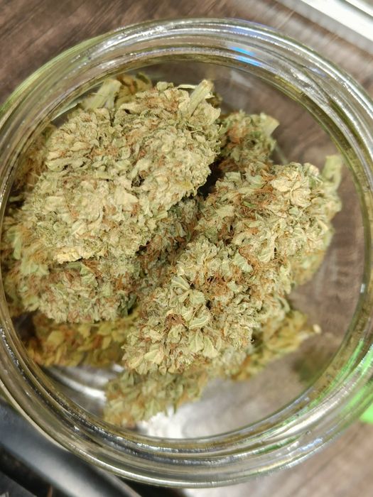Vanilla Ice susz CBG 20g CBD konopi