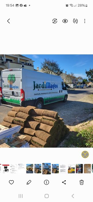 Relva natural em tapete