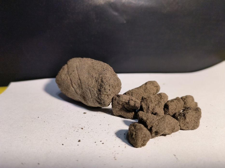 Hasz Hsszysz CBD 50g 31%