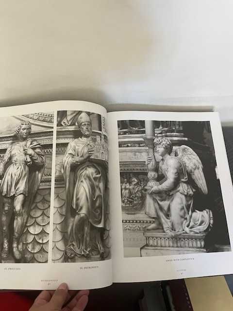 Livro Michel Angelo