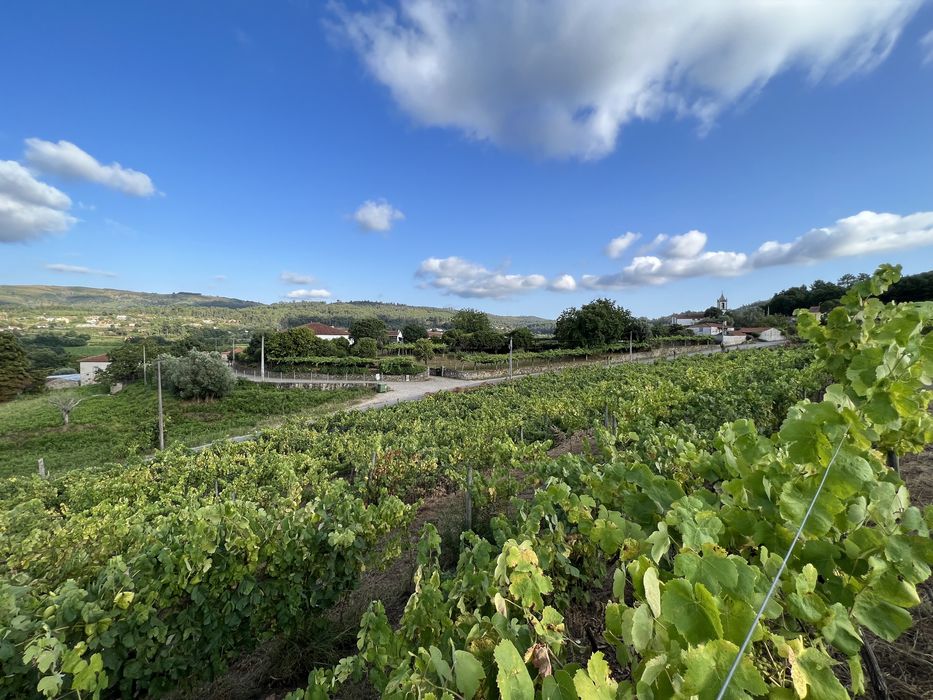 Quinta em Valença