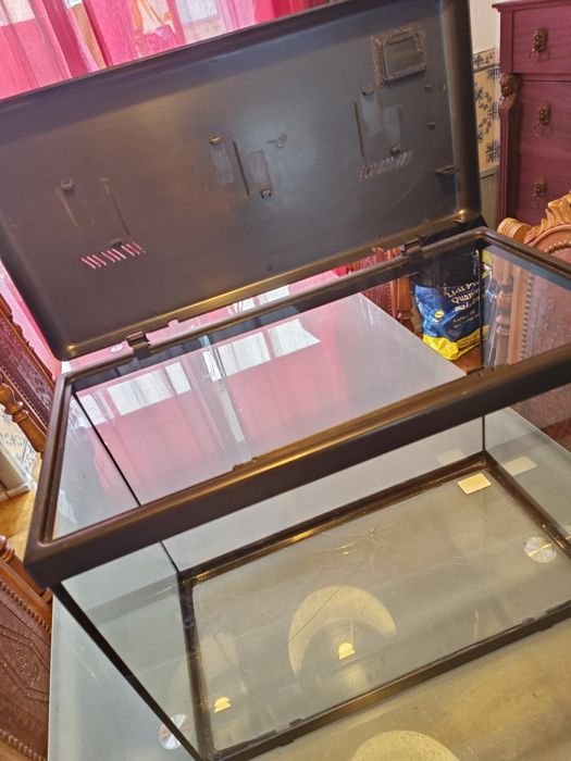 Aquário de peixes varidados