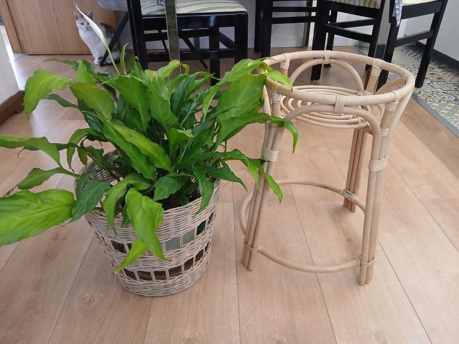 IKEA Plant Stand | Suporte IKEA para plantas
