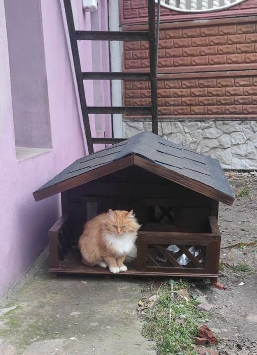Будка для кота утеплена В НАЯВНОСТІ