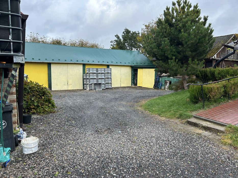 Sprzedam gospodarstwo sadownicze