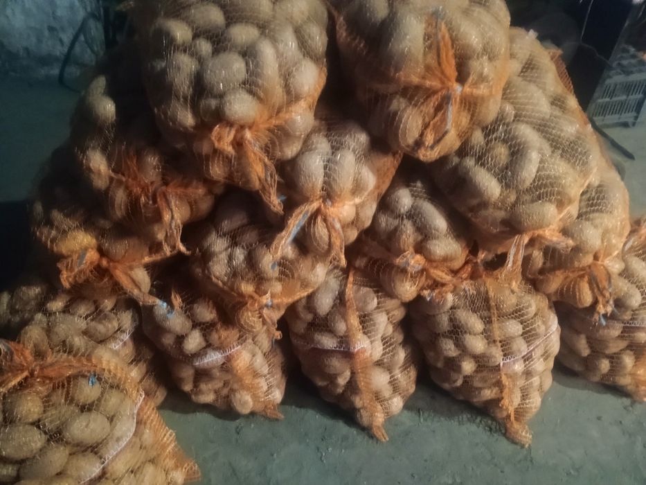 Warzywa ziemniaki