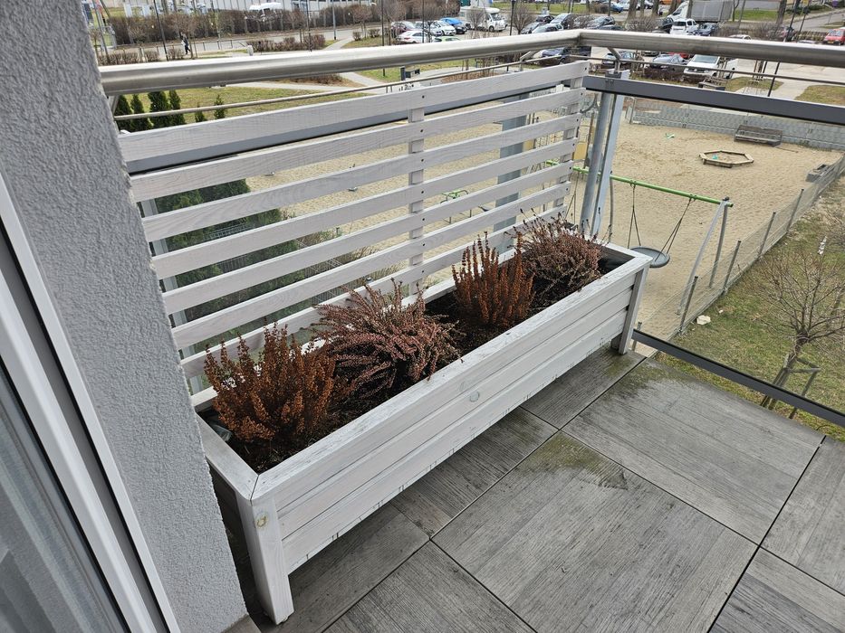 Pergola w kolorze bielonego drewna