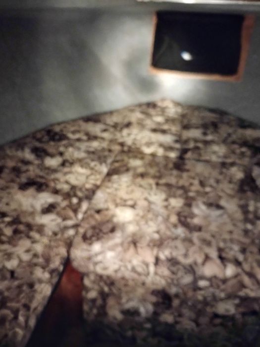 Łódź GLASTRON Aventura