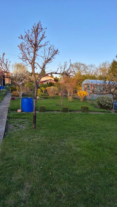 Działka ogrodowa HUZAR - View 6