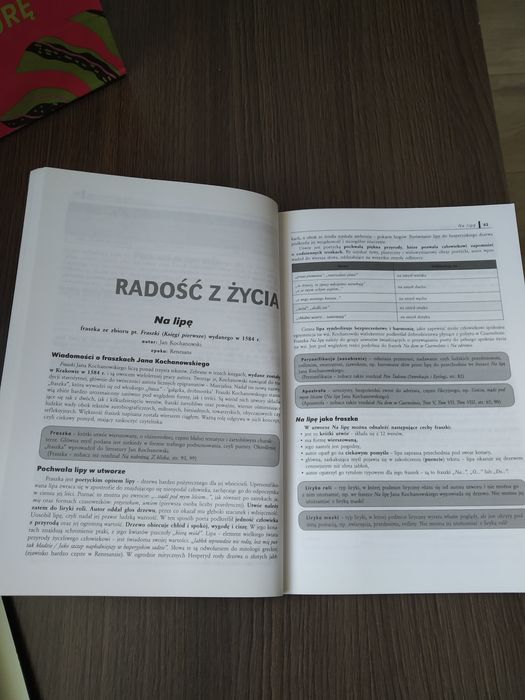 Repetytorium do języka polskiego