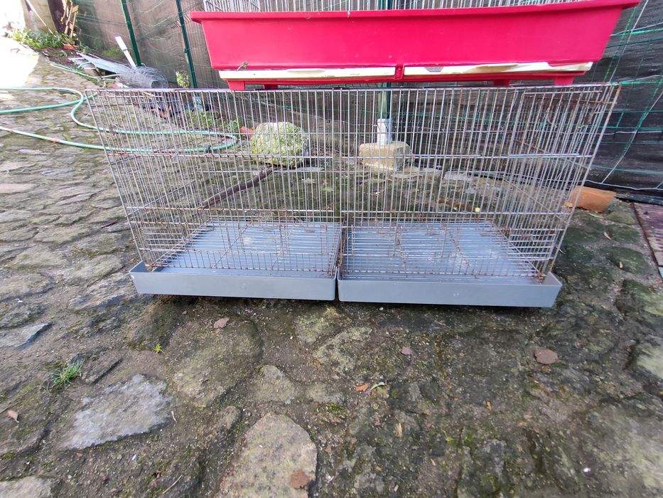 Gaiolas para Canários / Aves – Conjunto ou Individual
​Individual (1 u