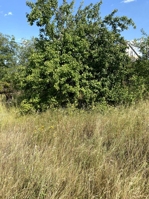 Дача, земельна ділянка, Володимирівське, Запорізька область