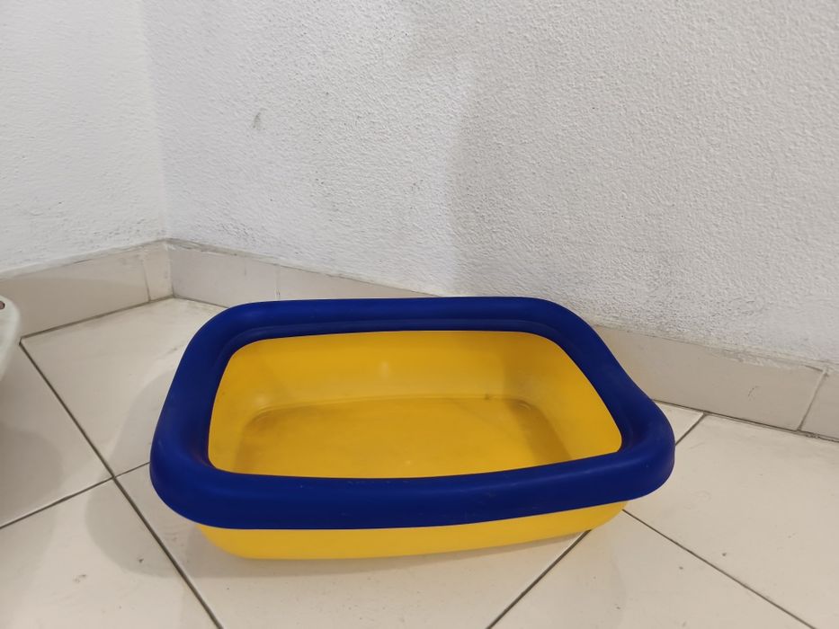 Casa de banho gatinhos