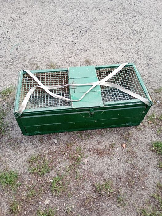 Klatki dla gołębi