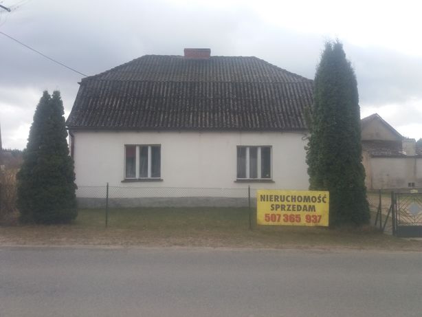 anekdote godtgørelse Blossom Dom. - Sprzedaż w Kujawsko-pomorskie - OLX.pl