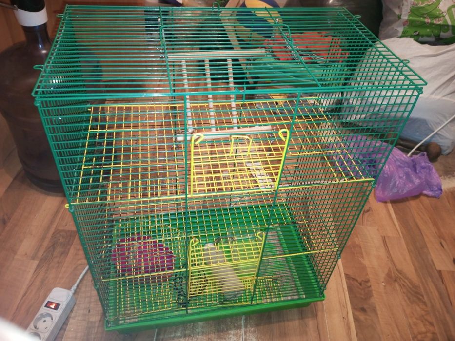 Клітка для гризунів