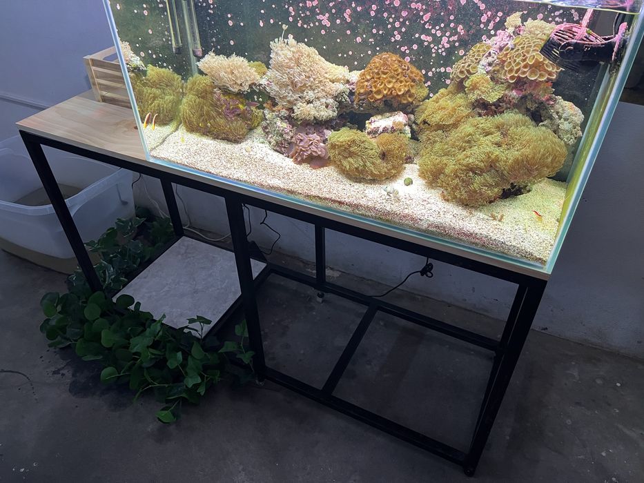 Estrutura para aquário