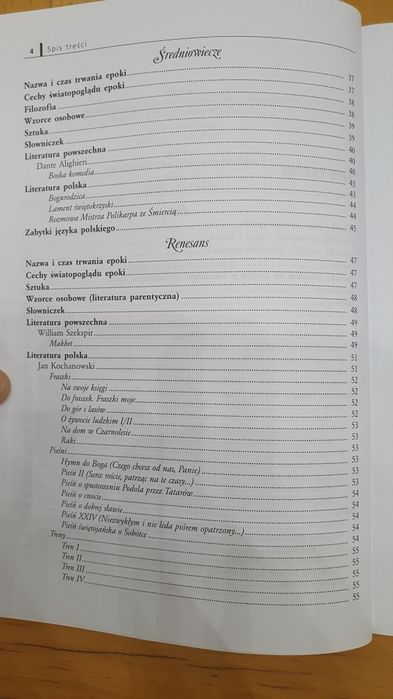 Repetytorium Maturzysty j. polski