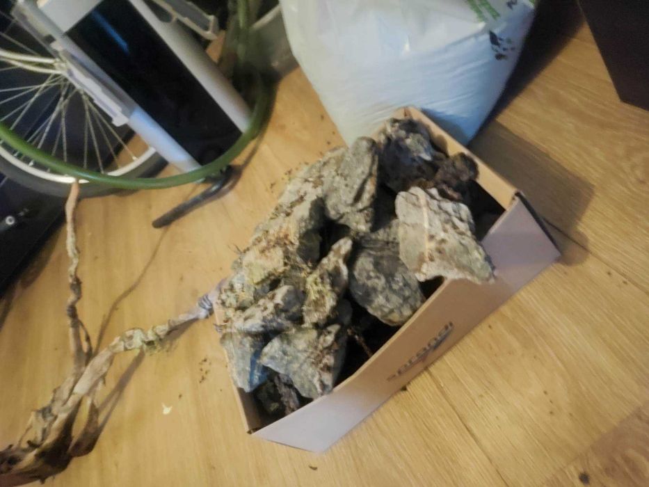 Akwarium wraz z osprzętem