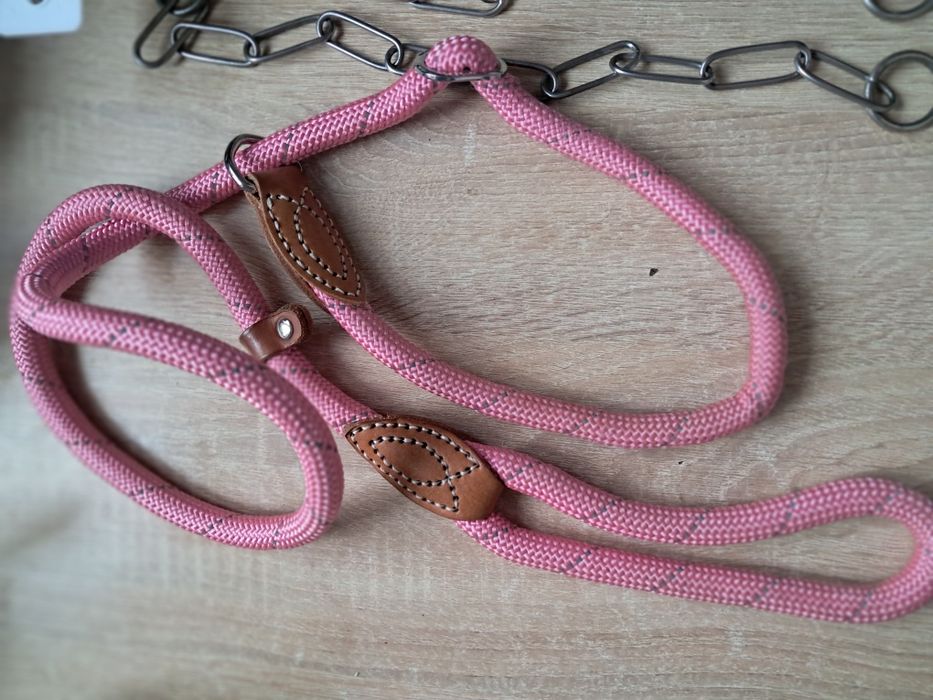 Повідець ціпок нашийник