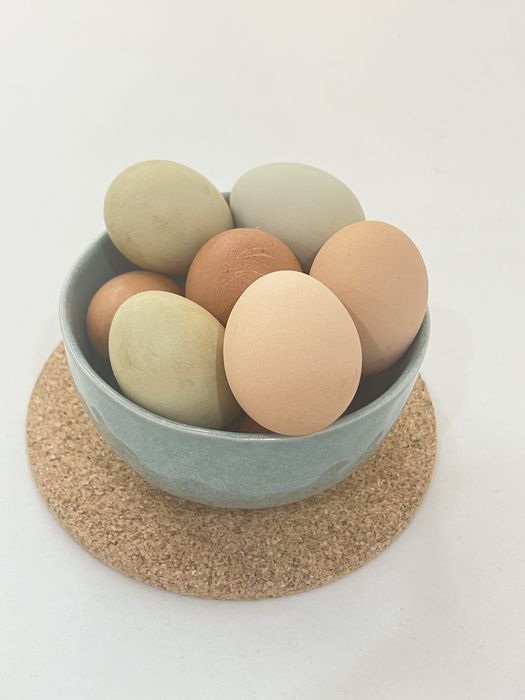 Patos mudos, Galinhas, Galos, Ovos caseiros